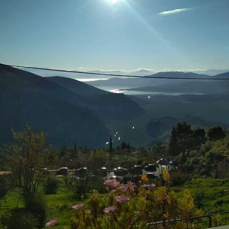 Sun View Guesthouse Delphi Zewnętrze zdjęcie