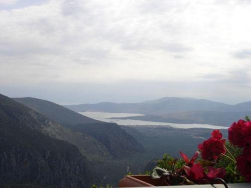 Sun View Guesthouse Delphi Zewnętrze zdjęcie