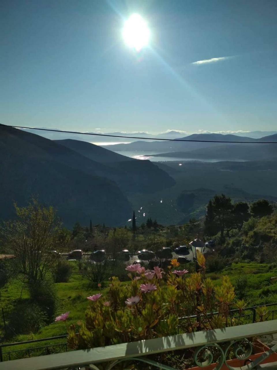 Sun View Guesthouse Delphi Zewnętrze zdjęcie